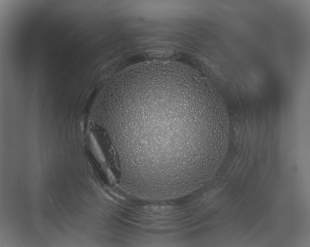 X0000070230745200606021347