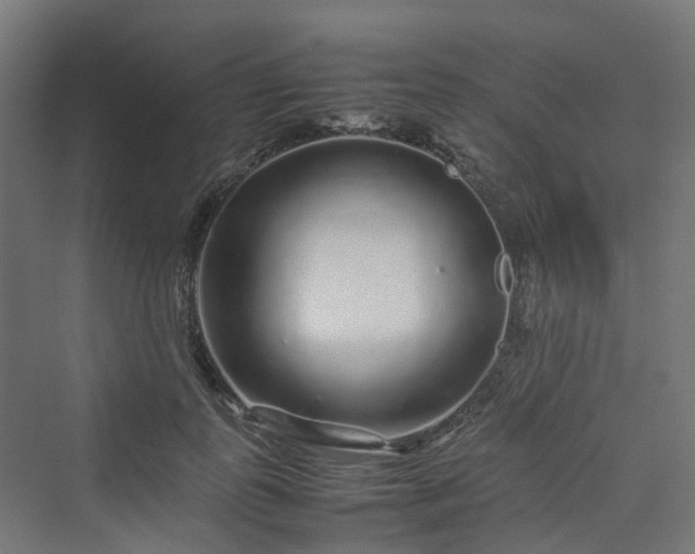 X0000070230747200606021347