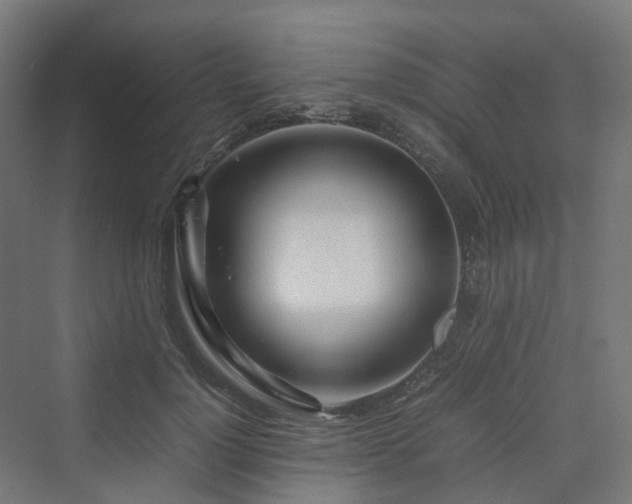 X0000070230748200606021347