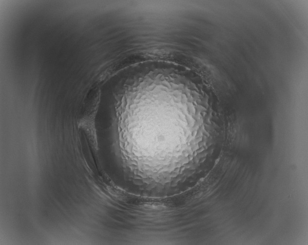 X0000070230749200606021347