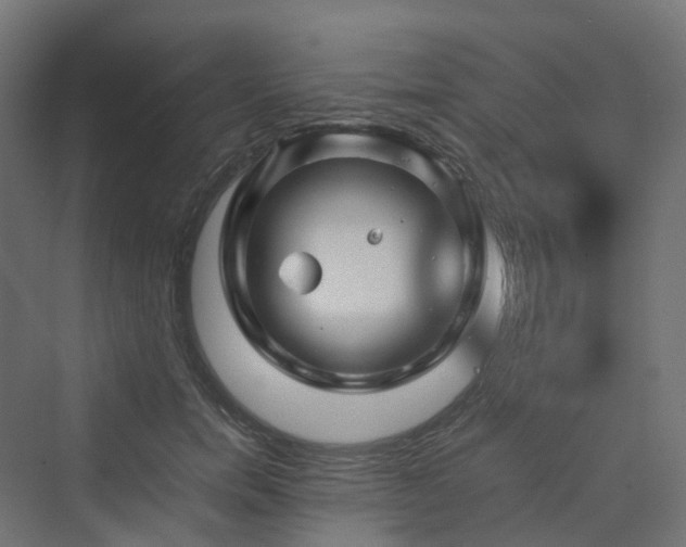 X0000070230750200606021347