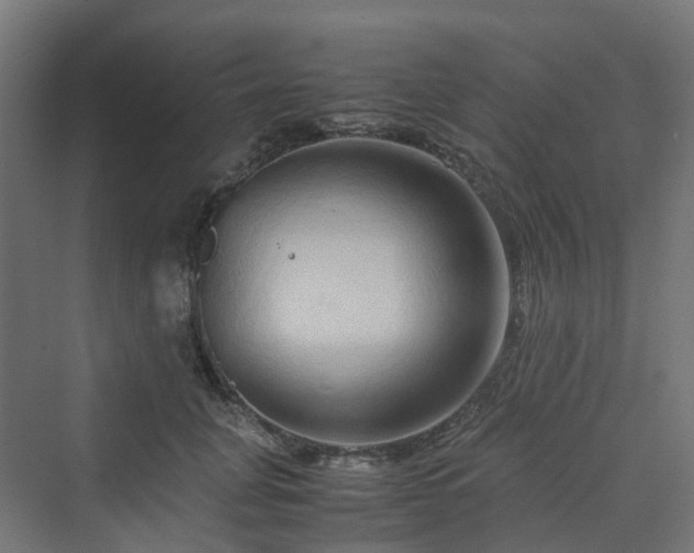 X0000070230751200606021347