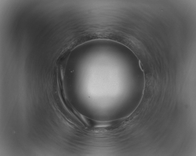 X0000070230752200606021347