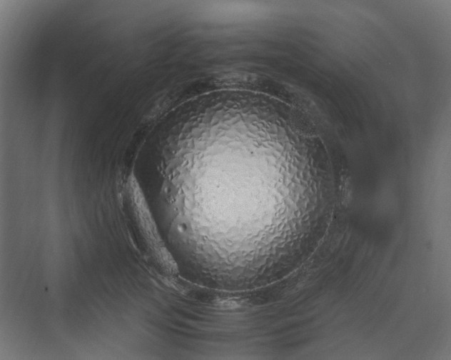 X0000070230753200606021347