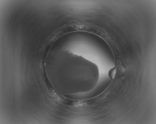 X0000070230754200606021347