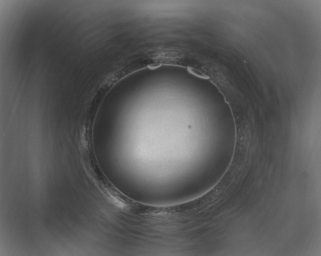 X0000070230755200606021347