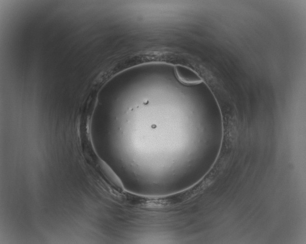 X0000070230758200606021347