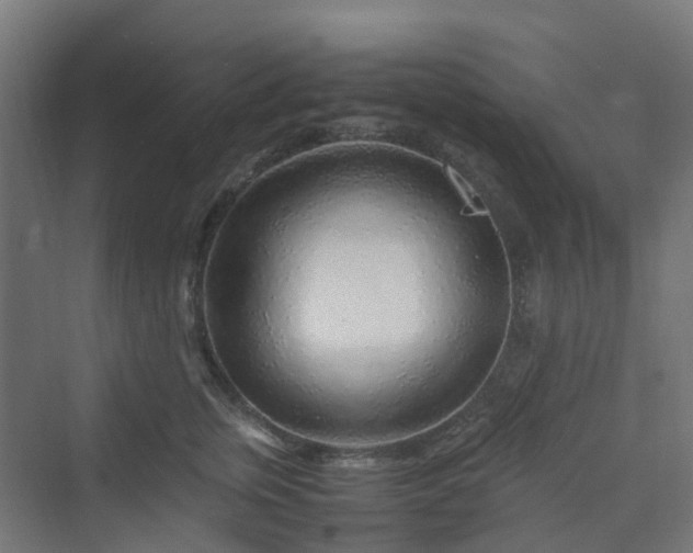 X0000070230759200606021347