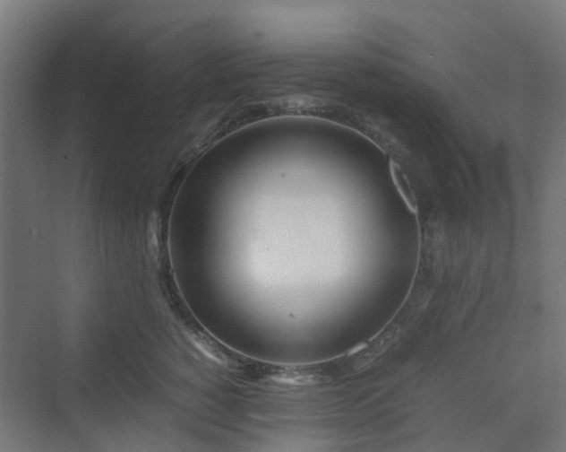 X0000070230760200606021347