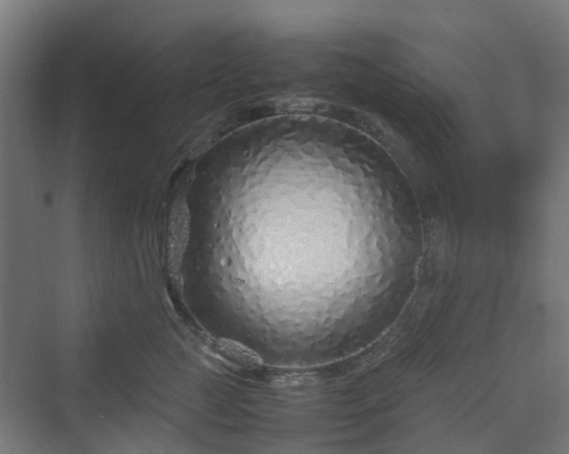 X0000070230761200606021347