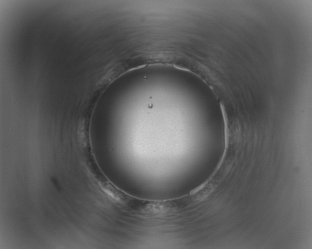 X0000070230764200606021347