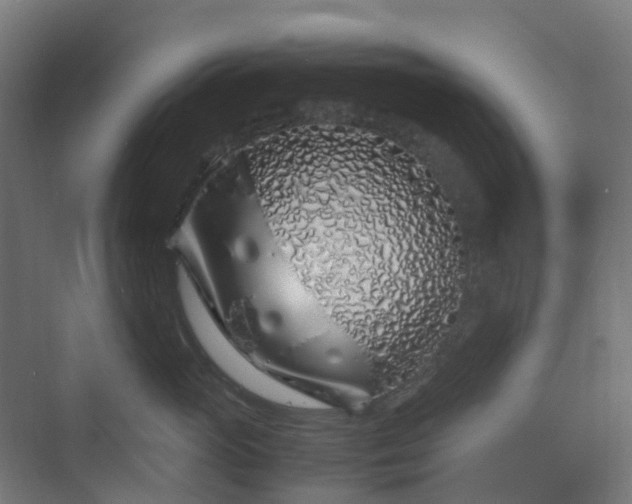 X0000070230765200606021347