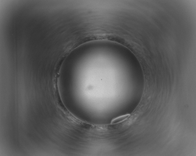 X0000070230768200606021347