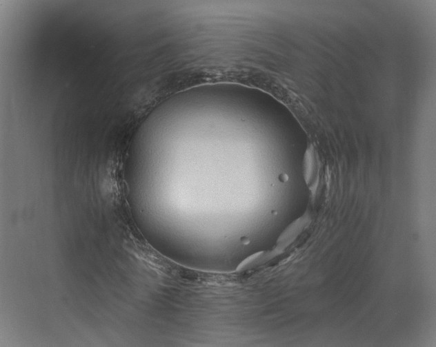 X0000070230770200606021346