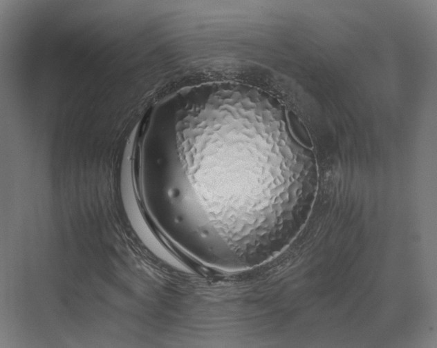 X0000070230772200606021346