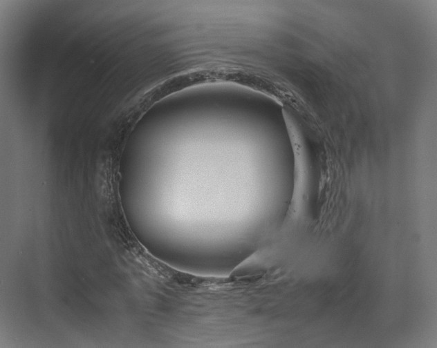 X0000070230773200606021346