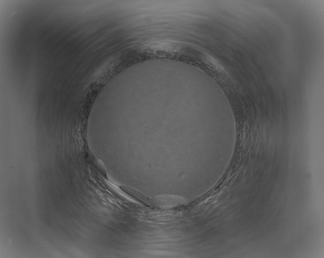 X0000070230774200606021346