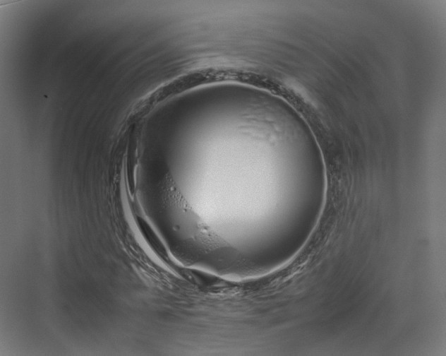 X0000070230775200606021346