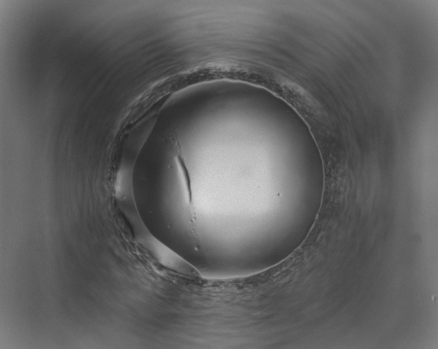 X0000070230776200606021346