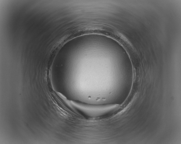 X0000070230777200606021346