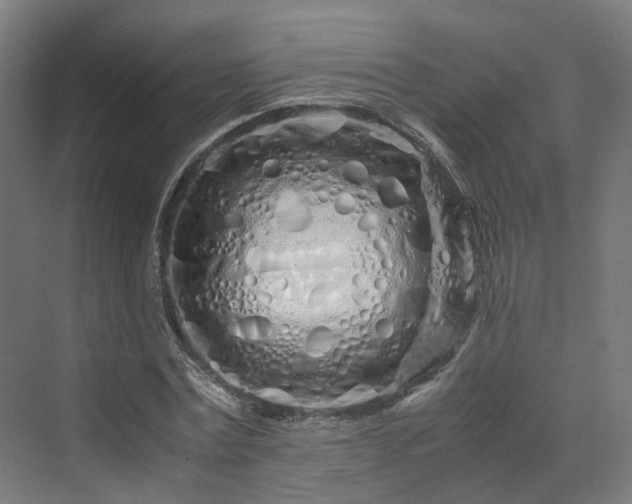 X0000070230779200606021346