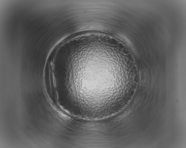 X0000070230780200606021346