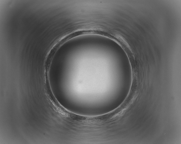 X0000070230781200606021346