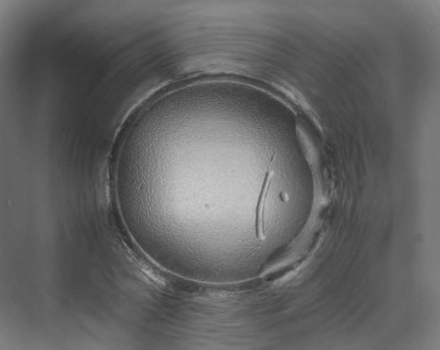 X0000070230782200606021346