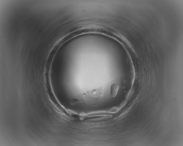 X0000070230783200606021346