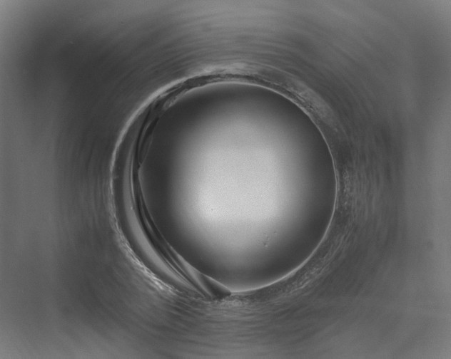 X0000070230784200606021346