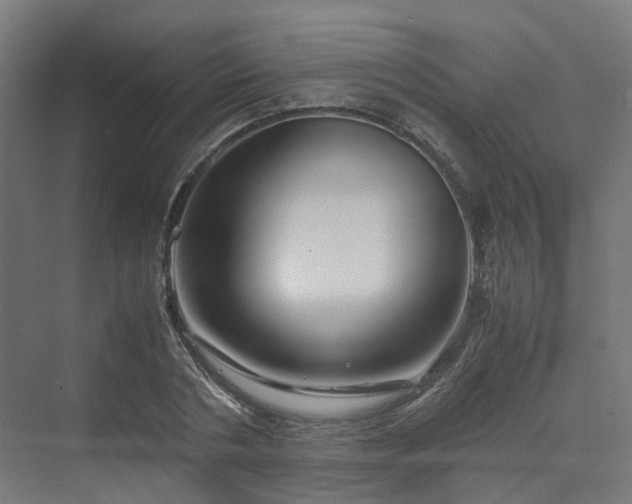 X0000070230786200606021346