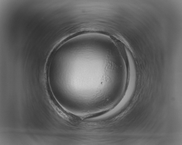 X0000070230787200606021346