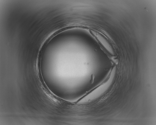 X0000070230788200606021346