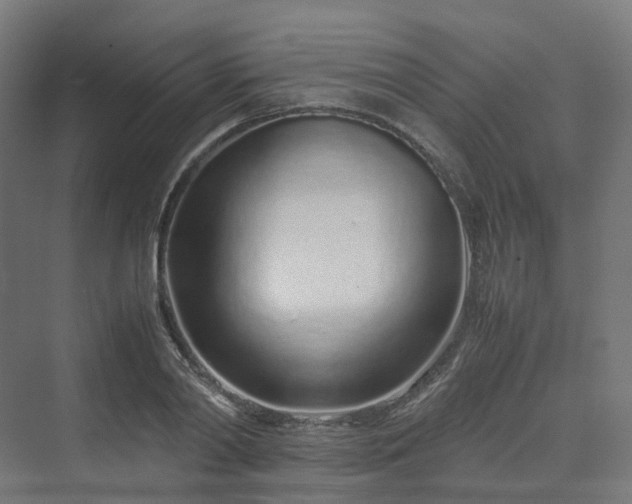 X0000070230790200606021346