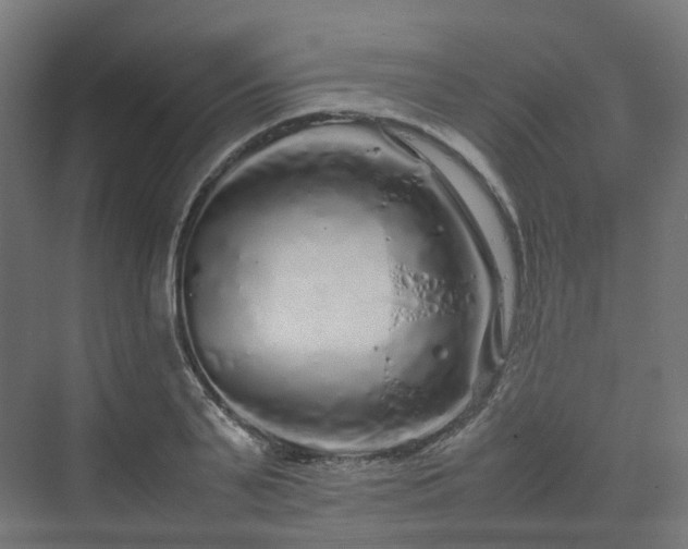 X0000070230791200606021346