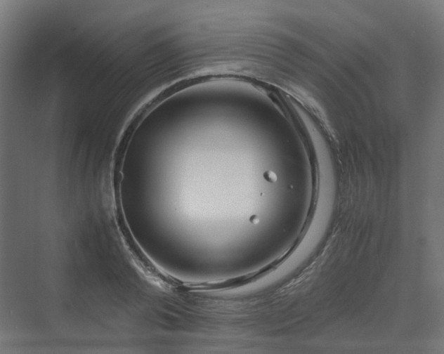 X0000070230792200606021346