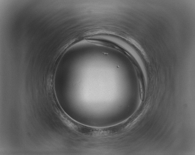 X0000070230793200606021346