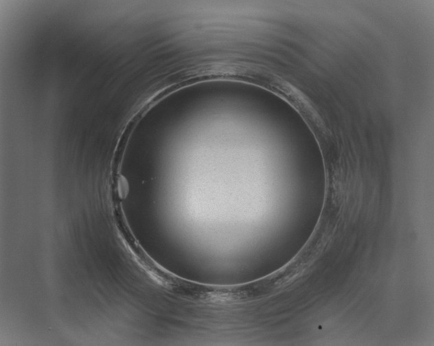 X0000070230794200606021346