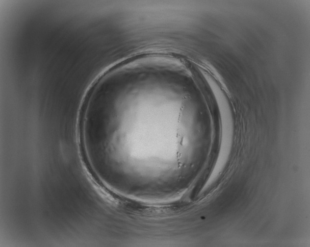 X0000070230795200606021346