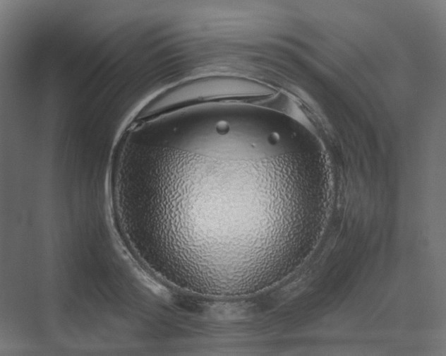 X0000070230796200606021346