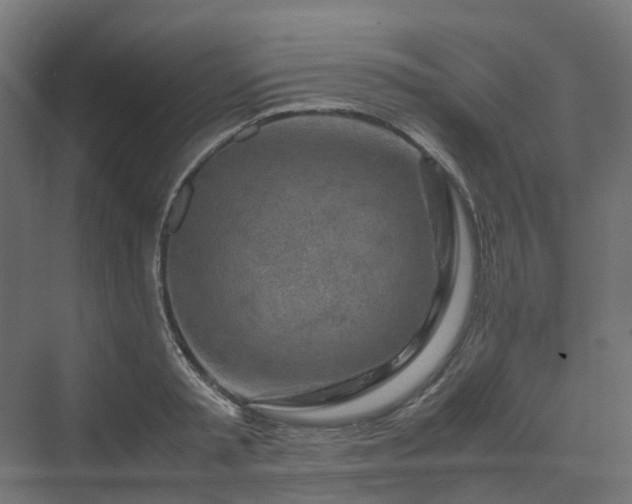 X0000070230797200606021346