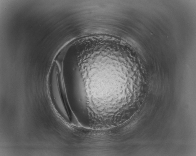 X0000070230798200606021346