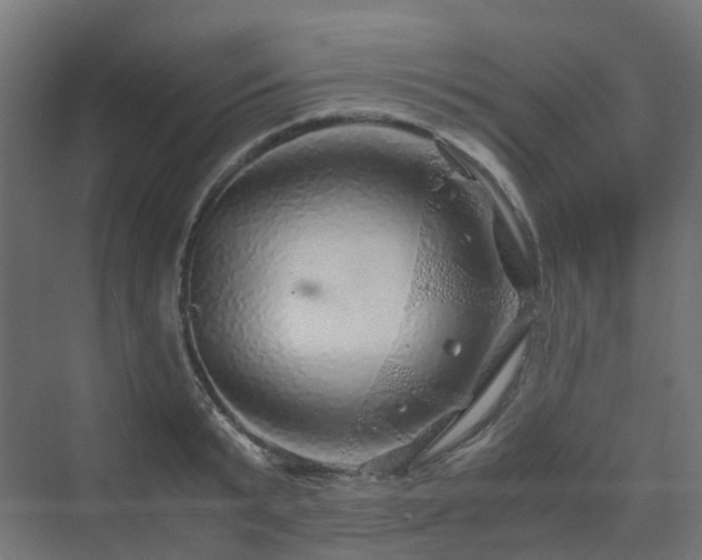 X0000070230799200606021346