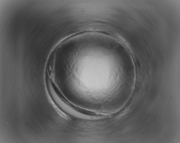 X0000070230803200606021346