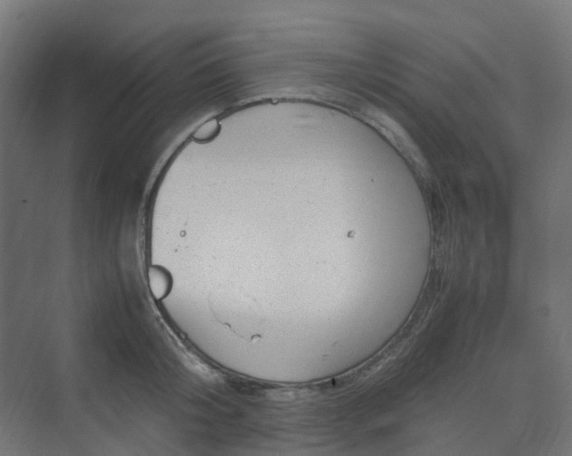 X0000070230804200606021346