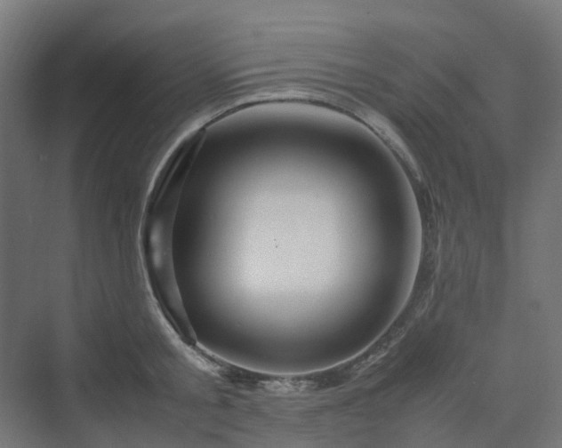 X0000070230805200606021346