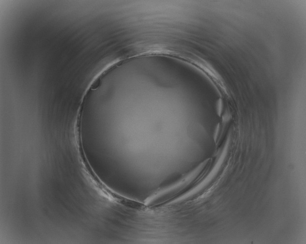 X0000070230806200606021346