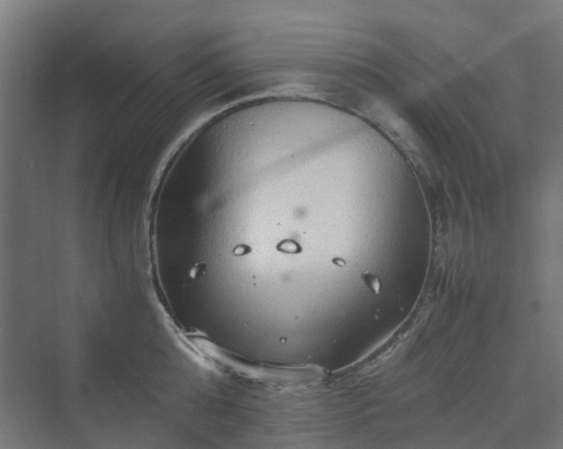 X0000070230808200606021346