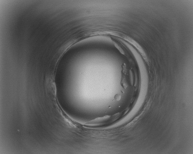 X0000070230809200606021346