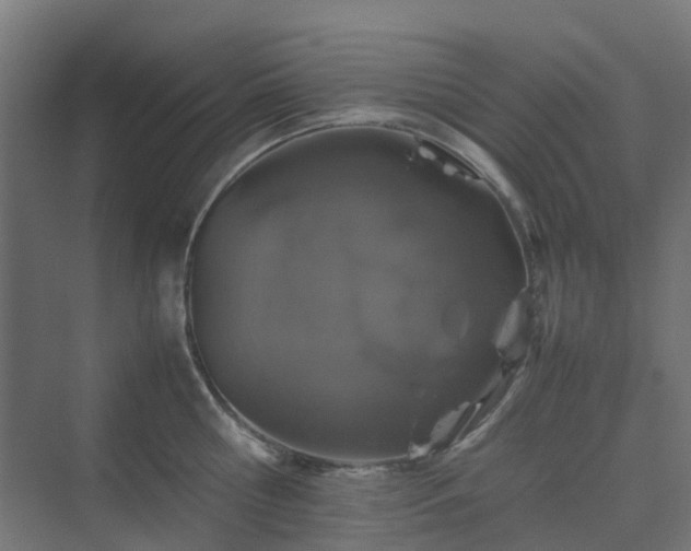 X0000070230810200606021345